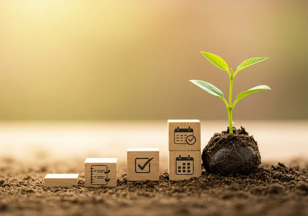 Plant growing from small steps, symbolizing habit formation